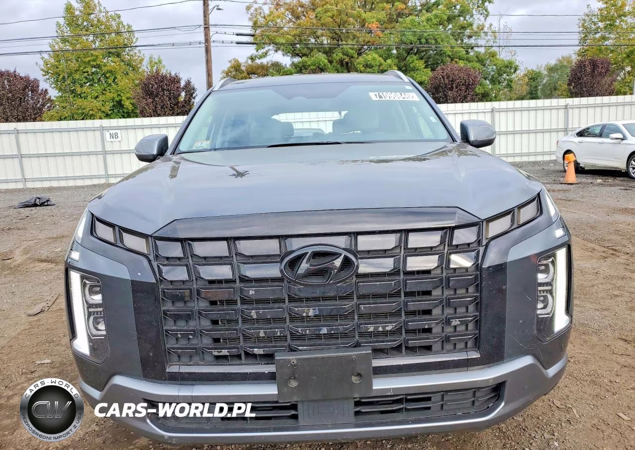 2025 Hyundai Palisade Sel VIN:KM8R2DGE5SU955393 - 5