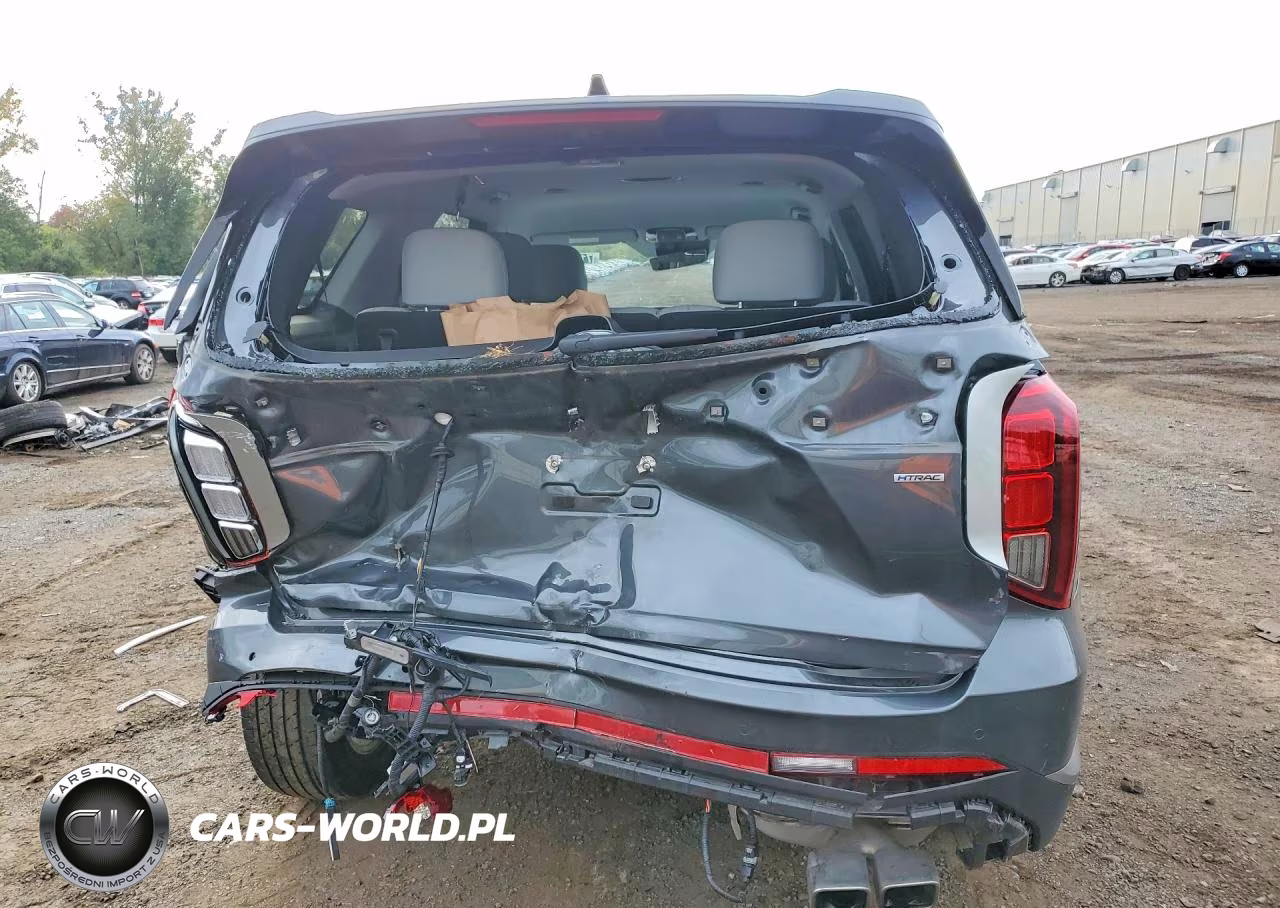 2025 Hyundai Palisade Sel VIN:KM8R2DGE5SU955393 - 6