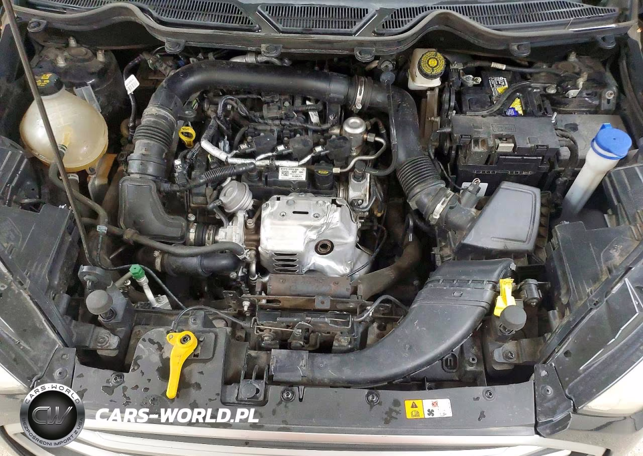 2019 Ford Ecosport Se VIN:MAJ3S2GE8KC307119 - 12
