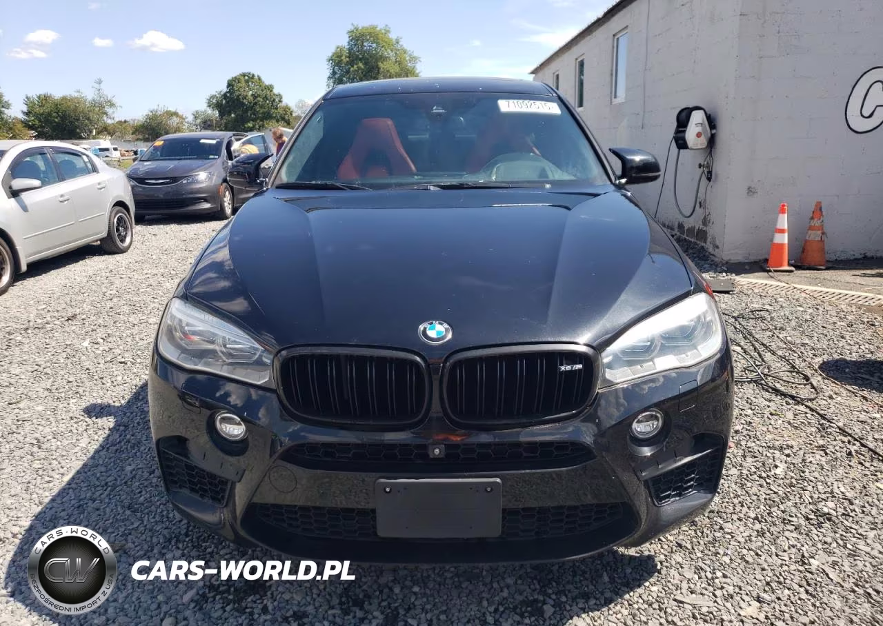 2018 BMW X6 M VIN:5YMKW8C51J0Y74606 - 5