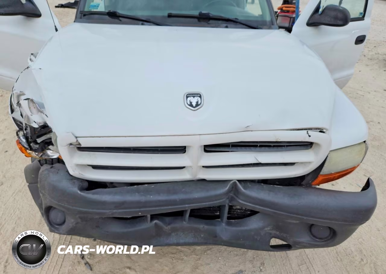 2003 Dodge Dakota Sxt VIN:1D7HL12X53S290101 - 11