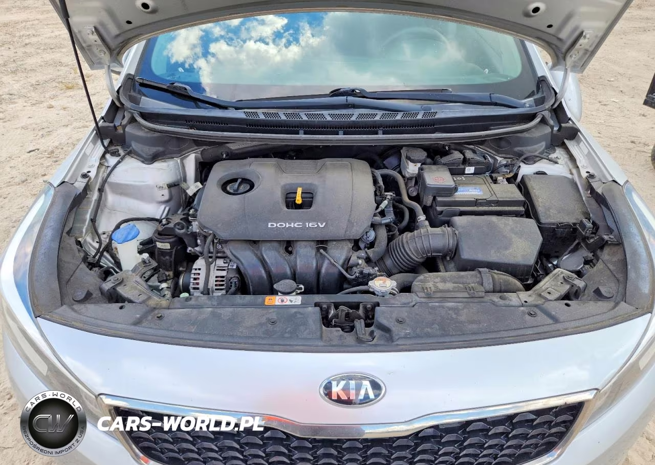 2017 Kia Forte Lx VIN:3KPFL4A72HE118705 - 11