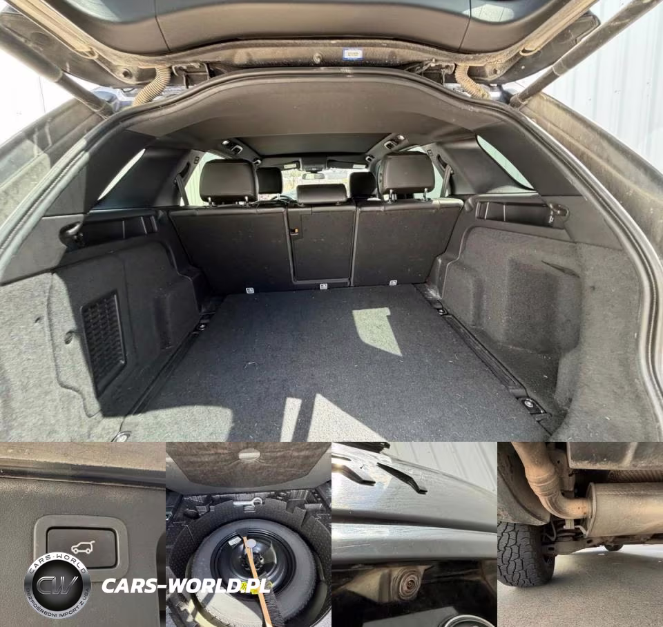 2019 Land Rover Discovery Sport Hse VIN:SALCR2FX1KH808521 - 14
