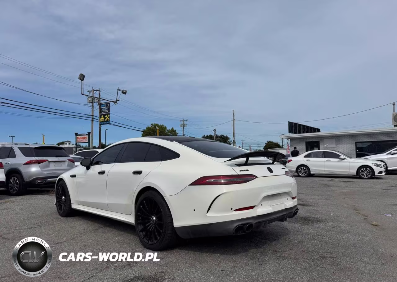 2019 Merz Amg Gt 53 VIN:WDD7X6BB9KA008192 - 3