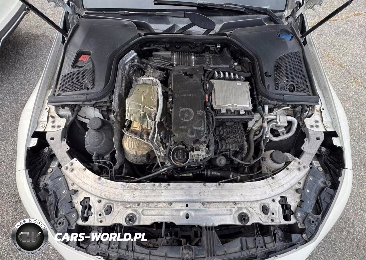 2019 Merz Amg Gt 53 VIN:WDD7X6BB9KA008192 - 7