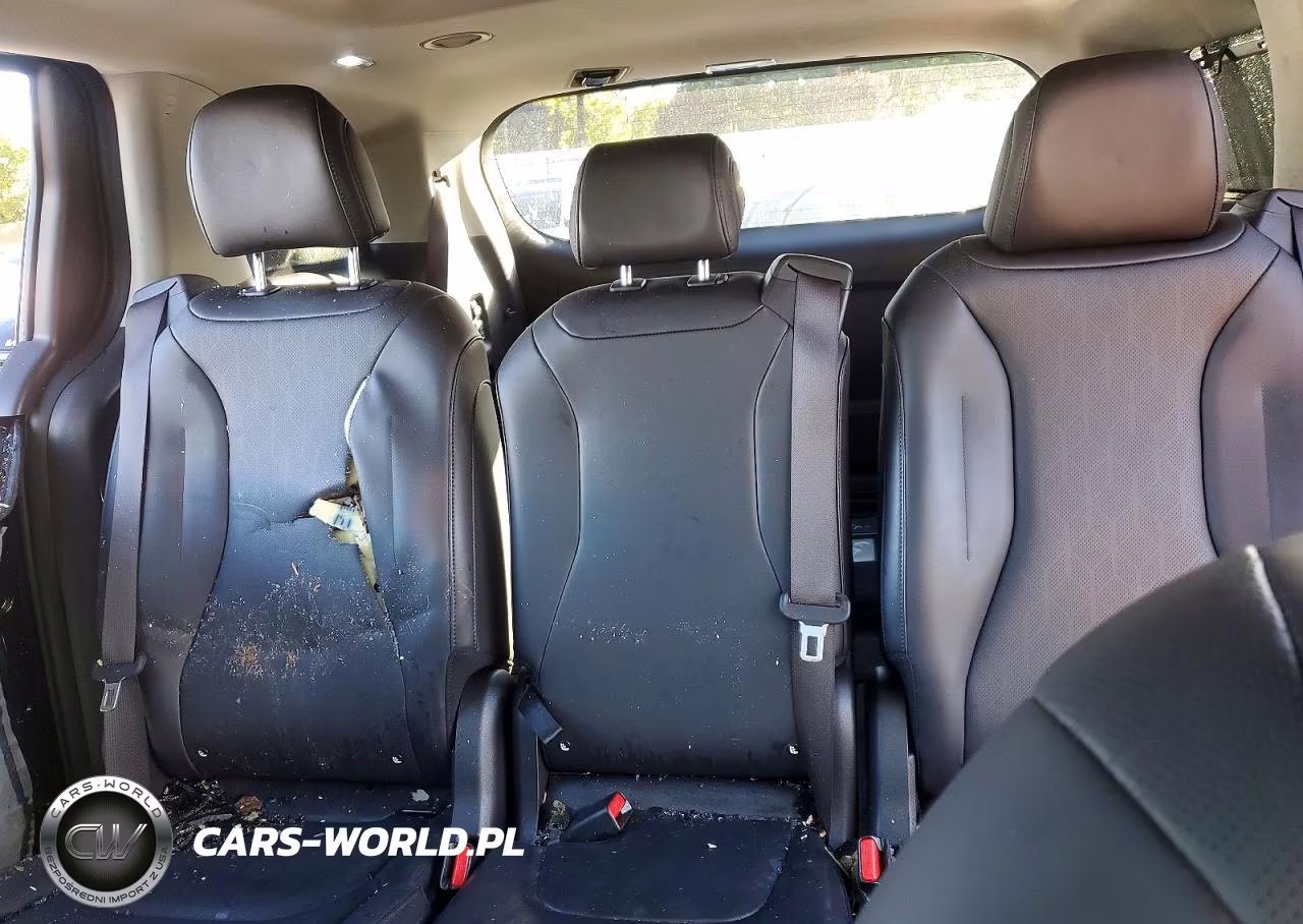 2025 Kia Carnival Hybrid Sx VIN:KNDNE5KA6S6081340 - 10