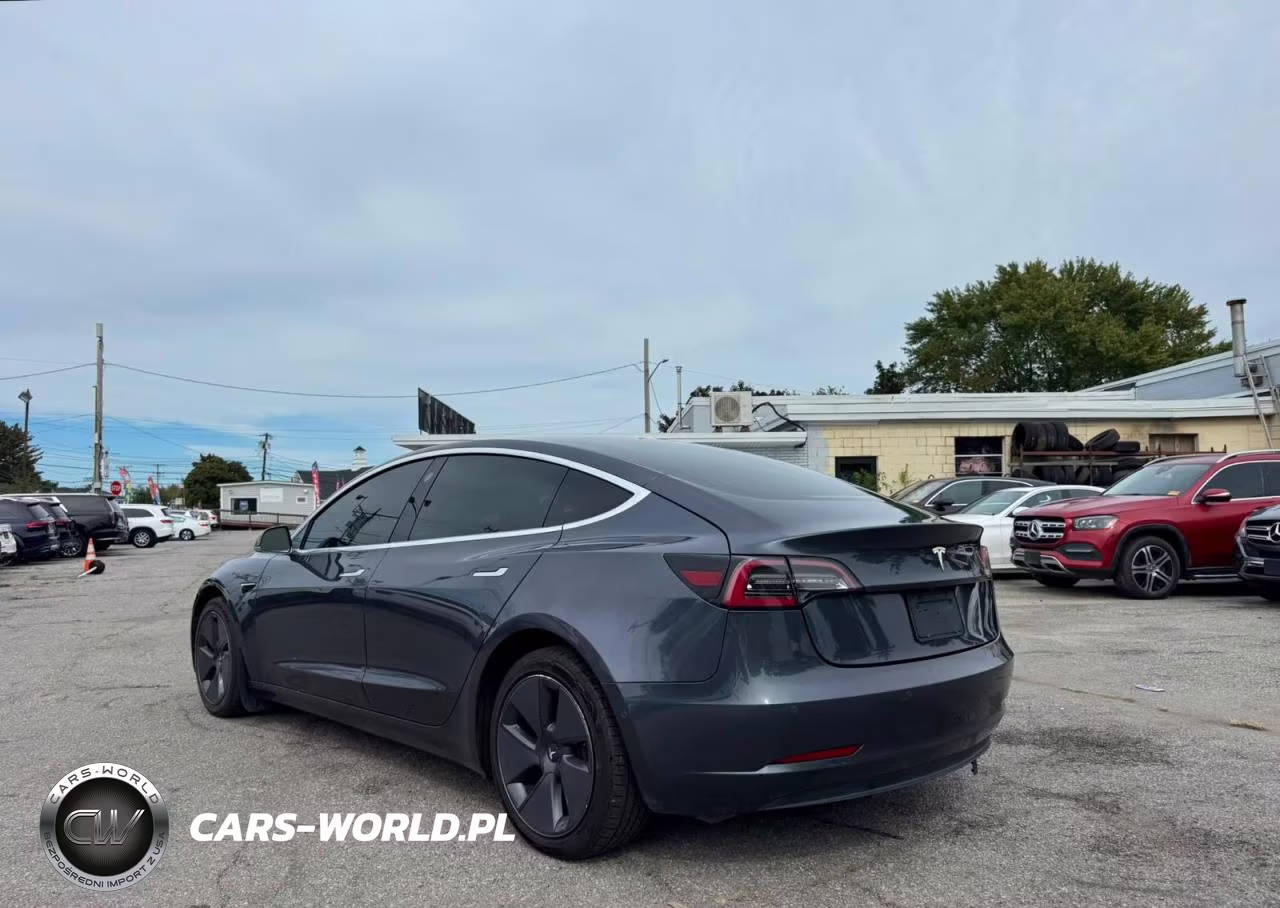 2020 Tesla Model 3 VIN:5YJ3E1EA6LF793932 - 3