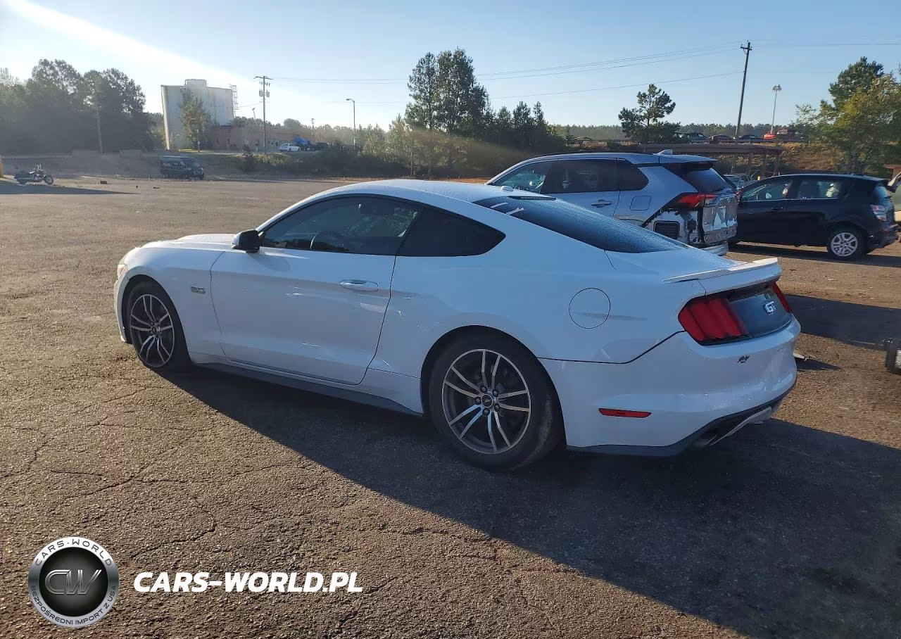 2017 Ford Mustang Gt VIN:1FA6P8CF6H5331190 - 2