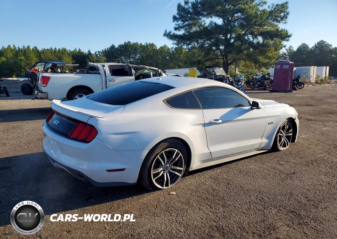 2017 Ford Mustang Gt VIN:1FA6P8CF6H5331190 - 3
