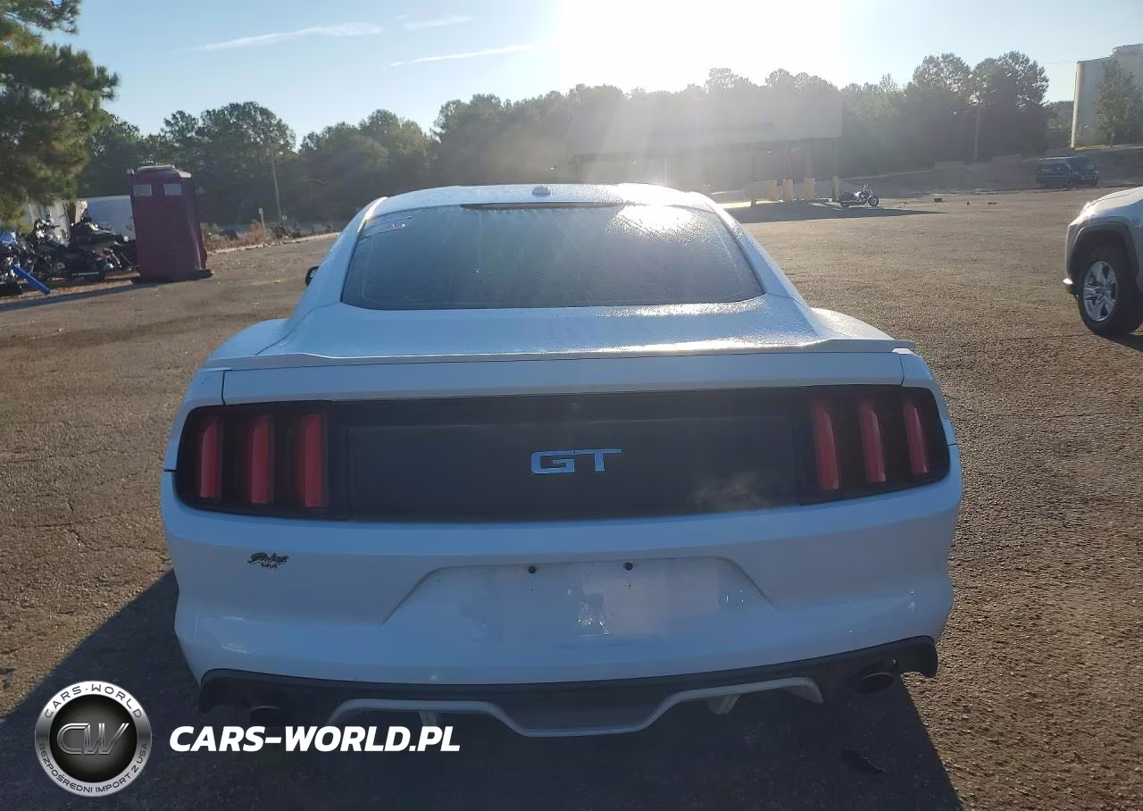 2017 Ford Mustang Gt VIN:1FA6P8CF6H5331190 - 6