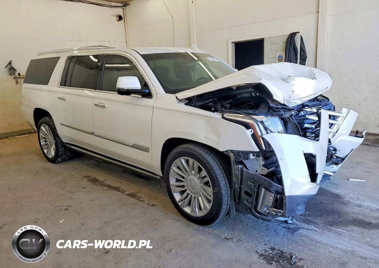 2016 Cadillac Escalade Esv Platinum VIN:1GYS4KKJXGR250652 - 4
