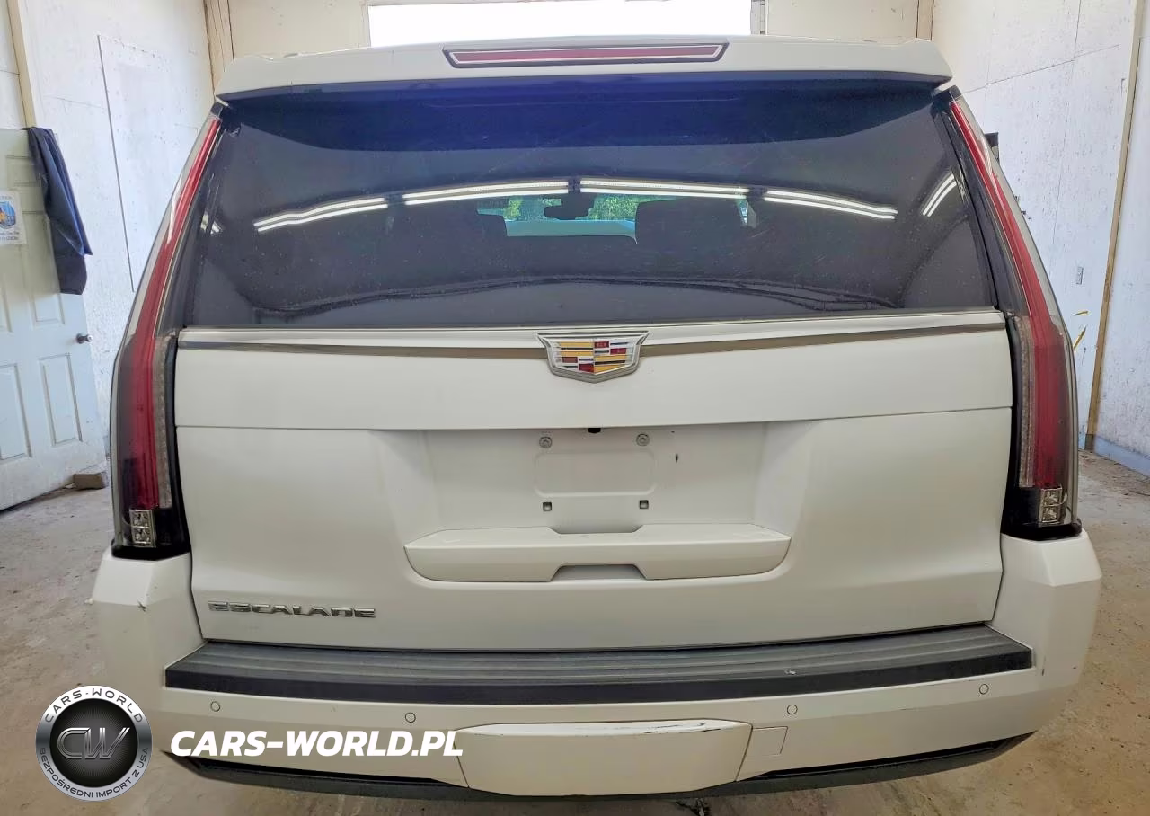 2016 Cadillac Escalade Esv Platinum VIN:1GYS4KKJXGR250652 - 6