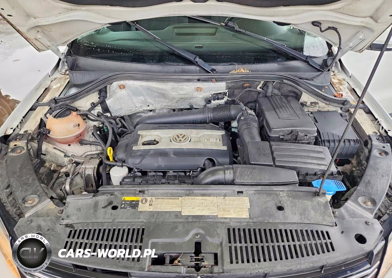 2015 Volkswagen Tiguan S VIN:WVGBV7AX1FW102052 - 12