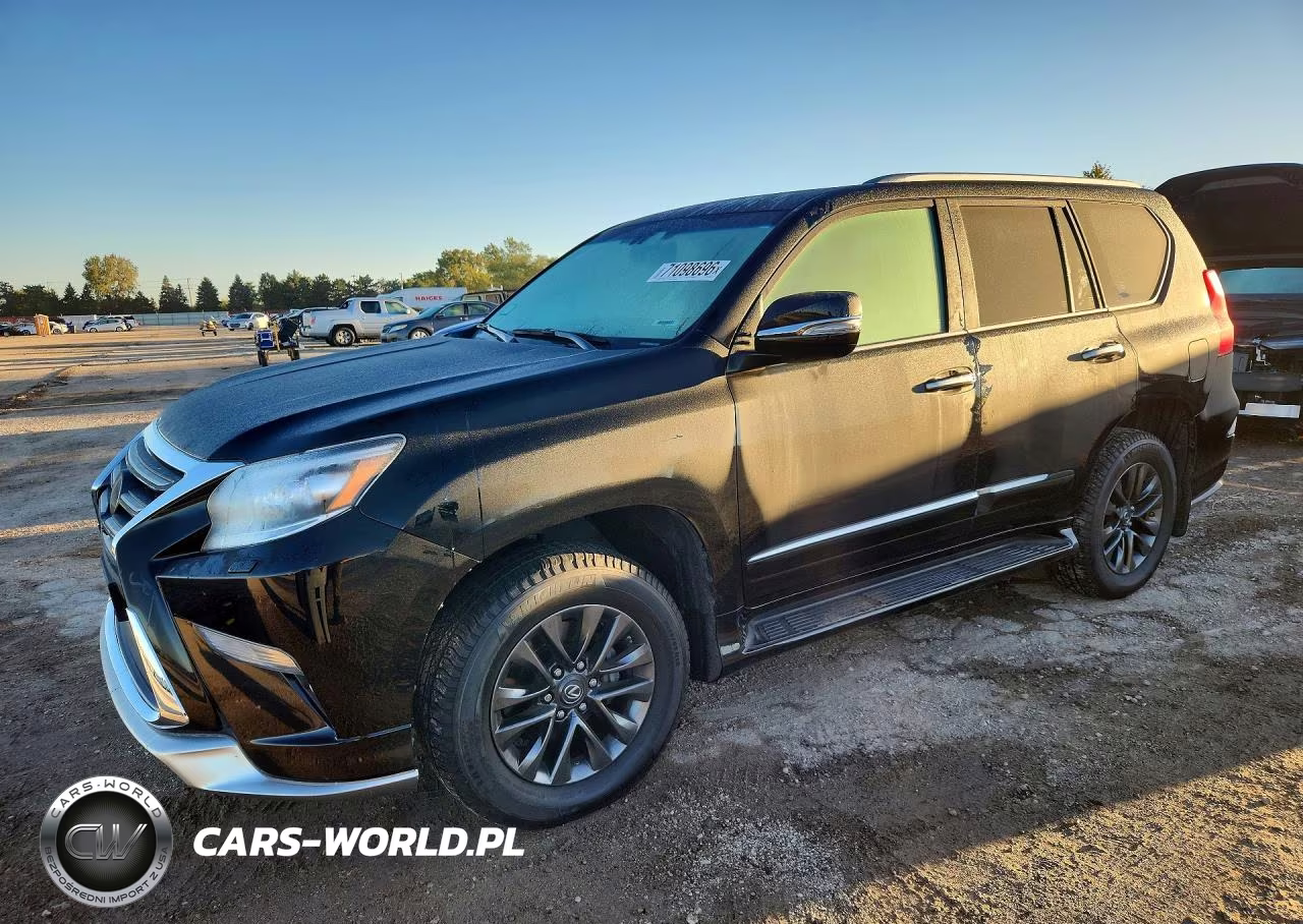 2019 Lexus Gx 460 Premium VIN:JTJJM7FX3K5227479 - 1