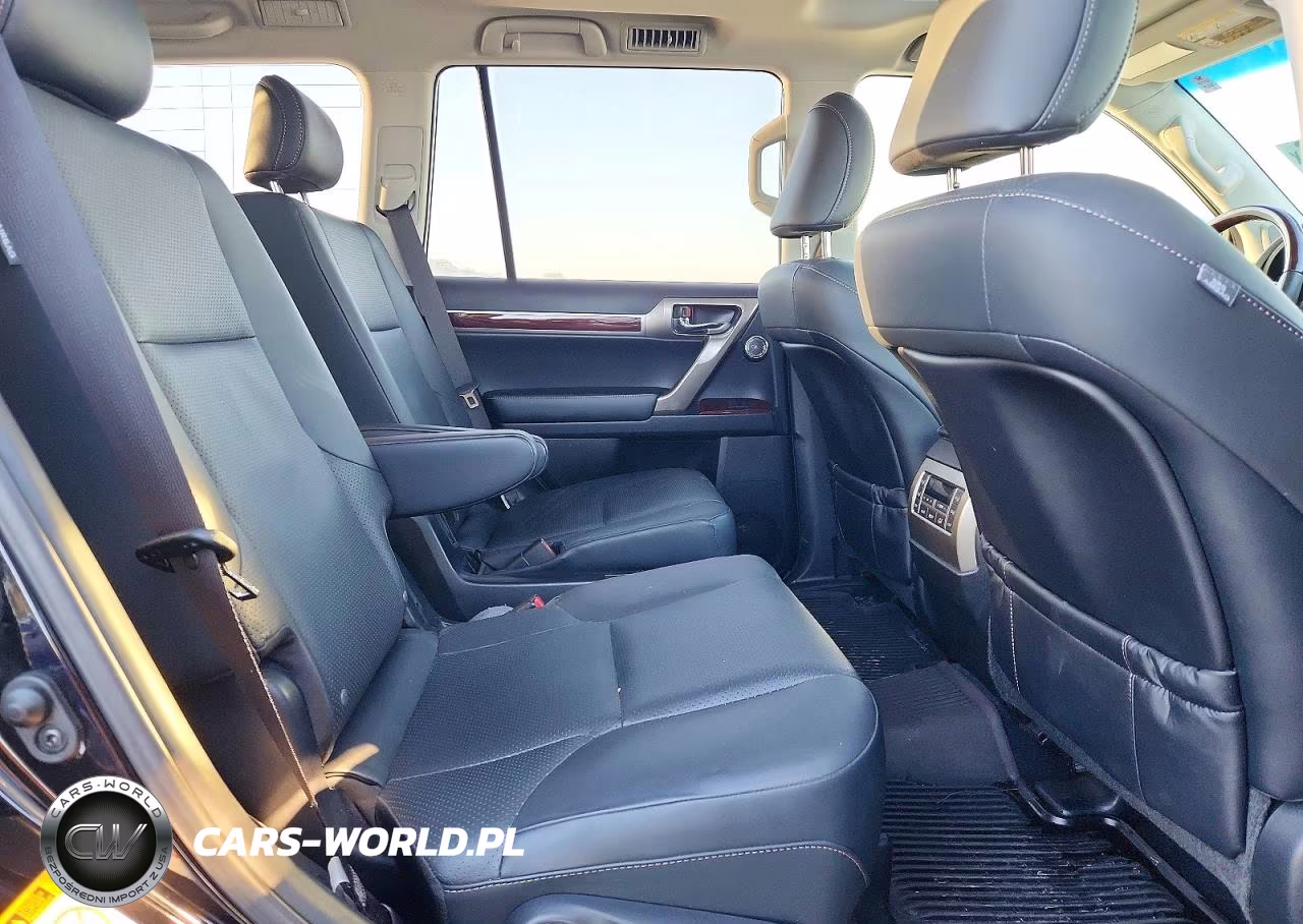 2019 Lexus Gx 460 Premium VIN:JTJJM7FX3K5227479 - 10