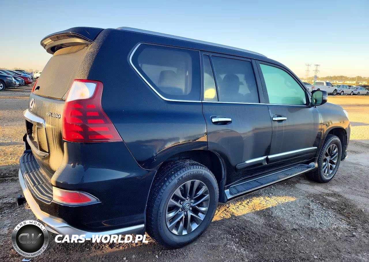 2019 Lexus Gx 460 Premium VIN:JTJJM7FX3K5227479 - 3