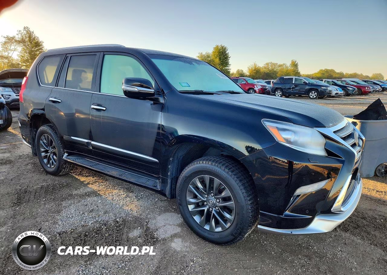 2019 Lexus Gx 460 Premium VIN:JTJJM7FX3K5227479 - 4