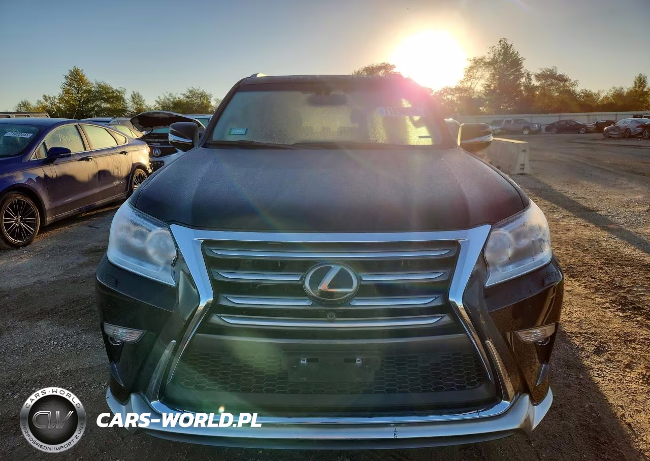2019 Lexus Gx 460 Premium VIN:JTJJM7FX3K5227479 - 5
