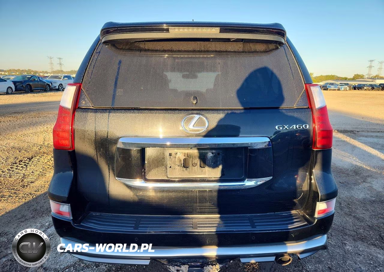 2019 Lexus Gx 460 Premium VIN:JTJJM7FX3K5227479 - 6