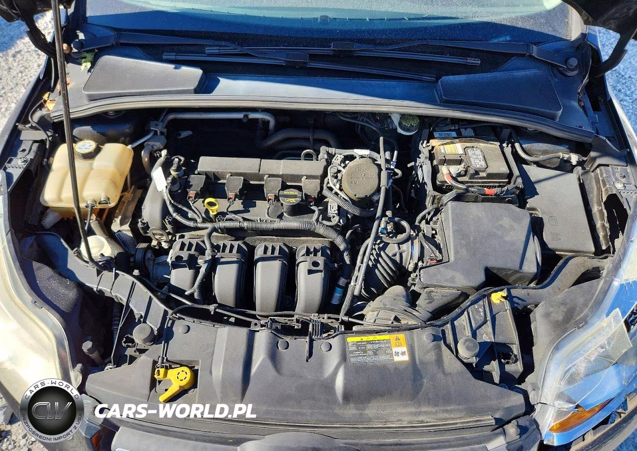 2013 Ford Focus Se VIN:1FADP3K26DL175974 - 11