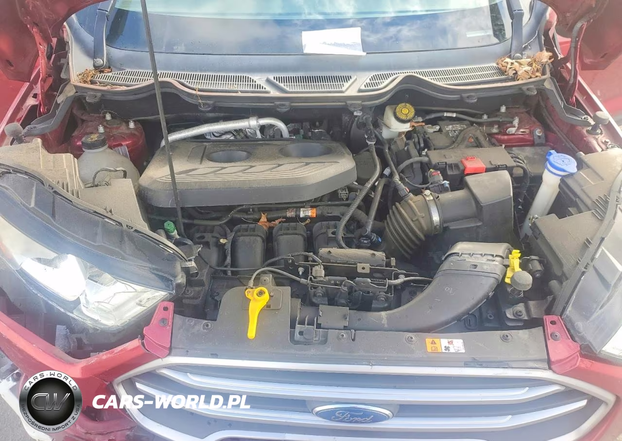 2019 Ford Ecosport Se VIN:MAJ6S3GLXKC285447 - 12