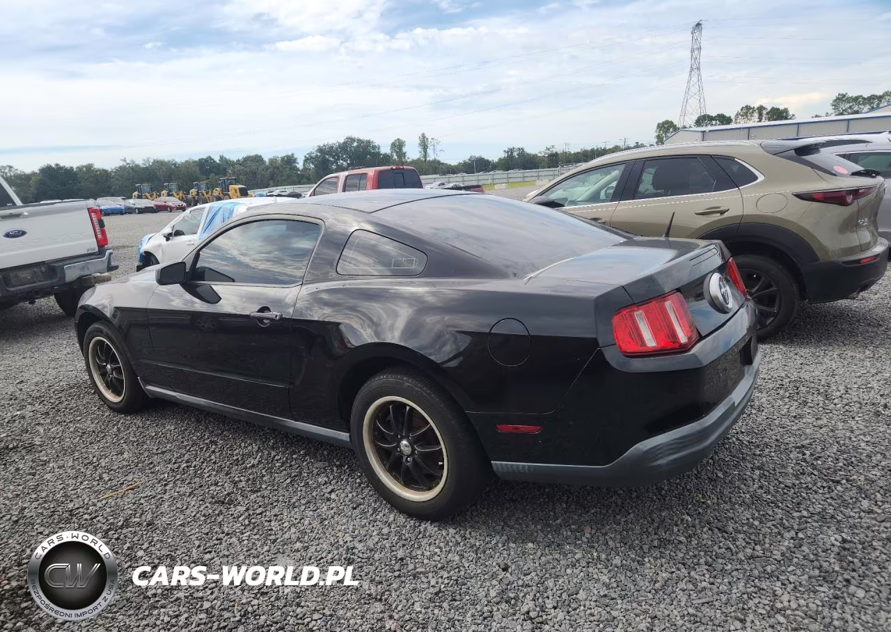 2010 Ford Mustang VIN:1ZVBP8AN3A5120180 - 2