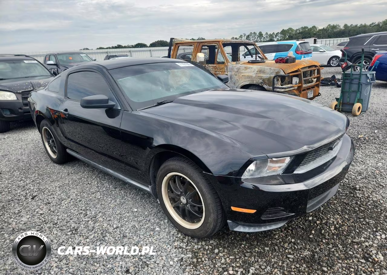 2010 Ford Mustang VIN:1ZVBP8AN3A5120180 - 4