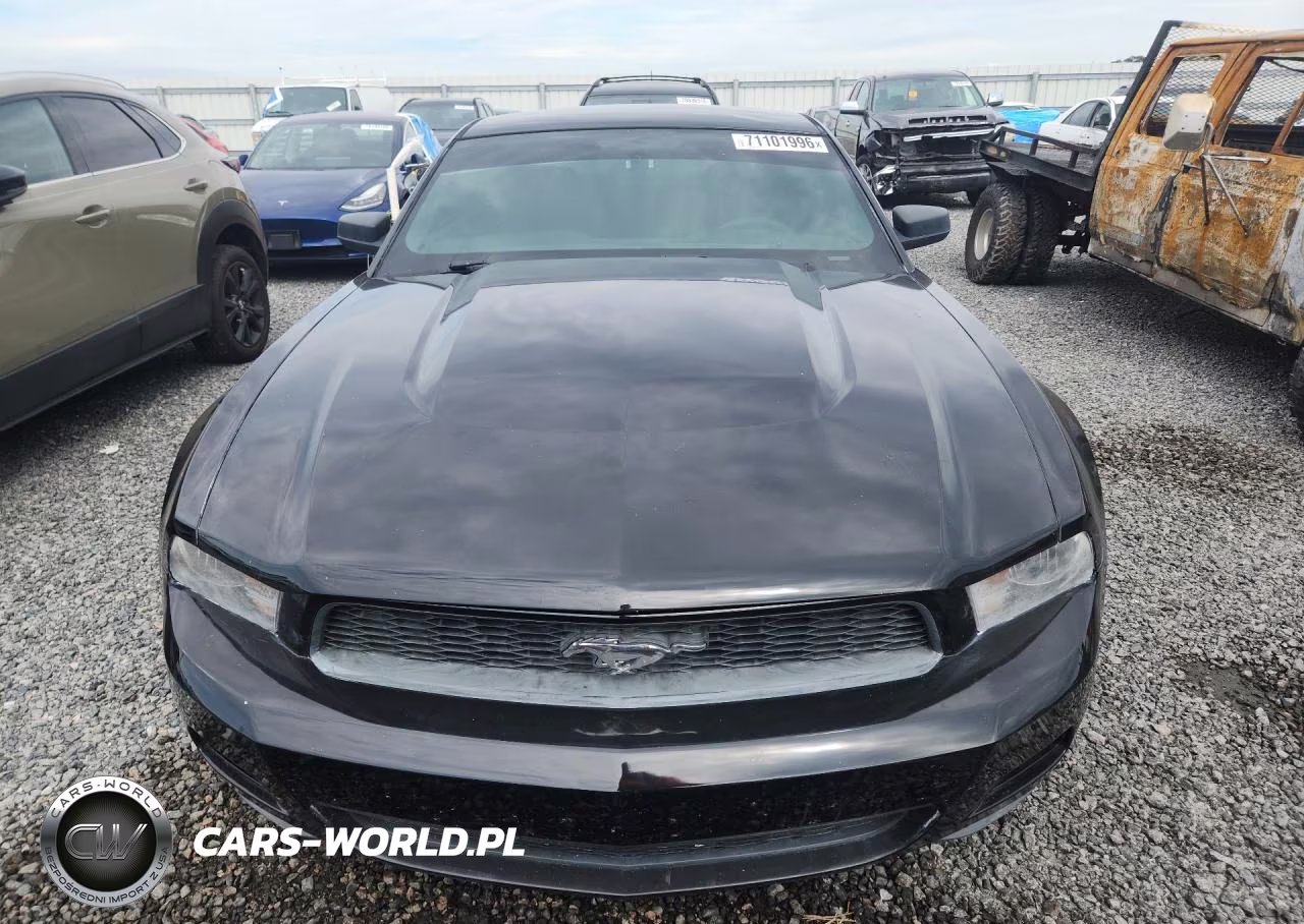 2010 Ford Mustang VIN:1ZVBP8AN3A5120180 - 5