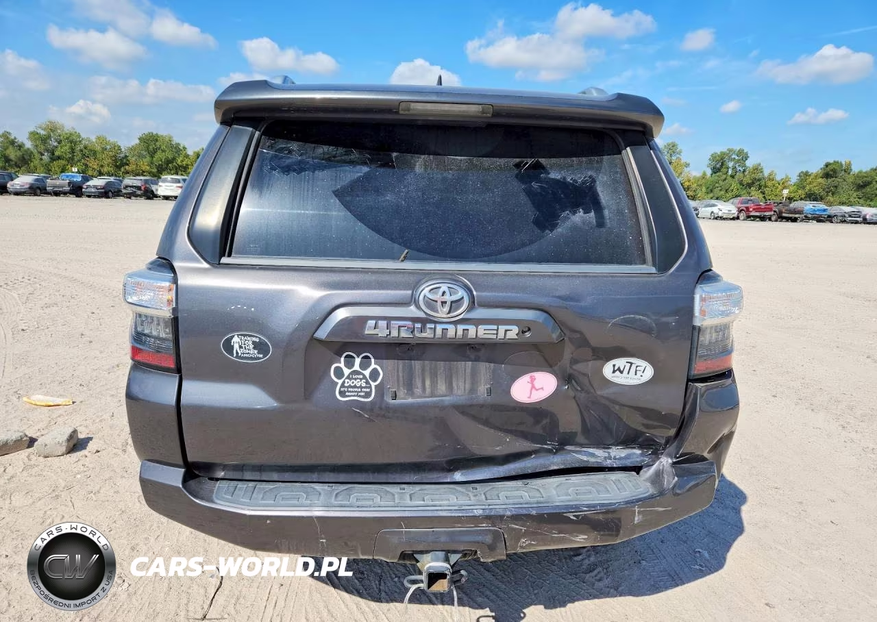2016 Toyota 4Runner Sr5 Premium VIN:JTEZU5JR8G5123429 - 6