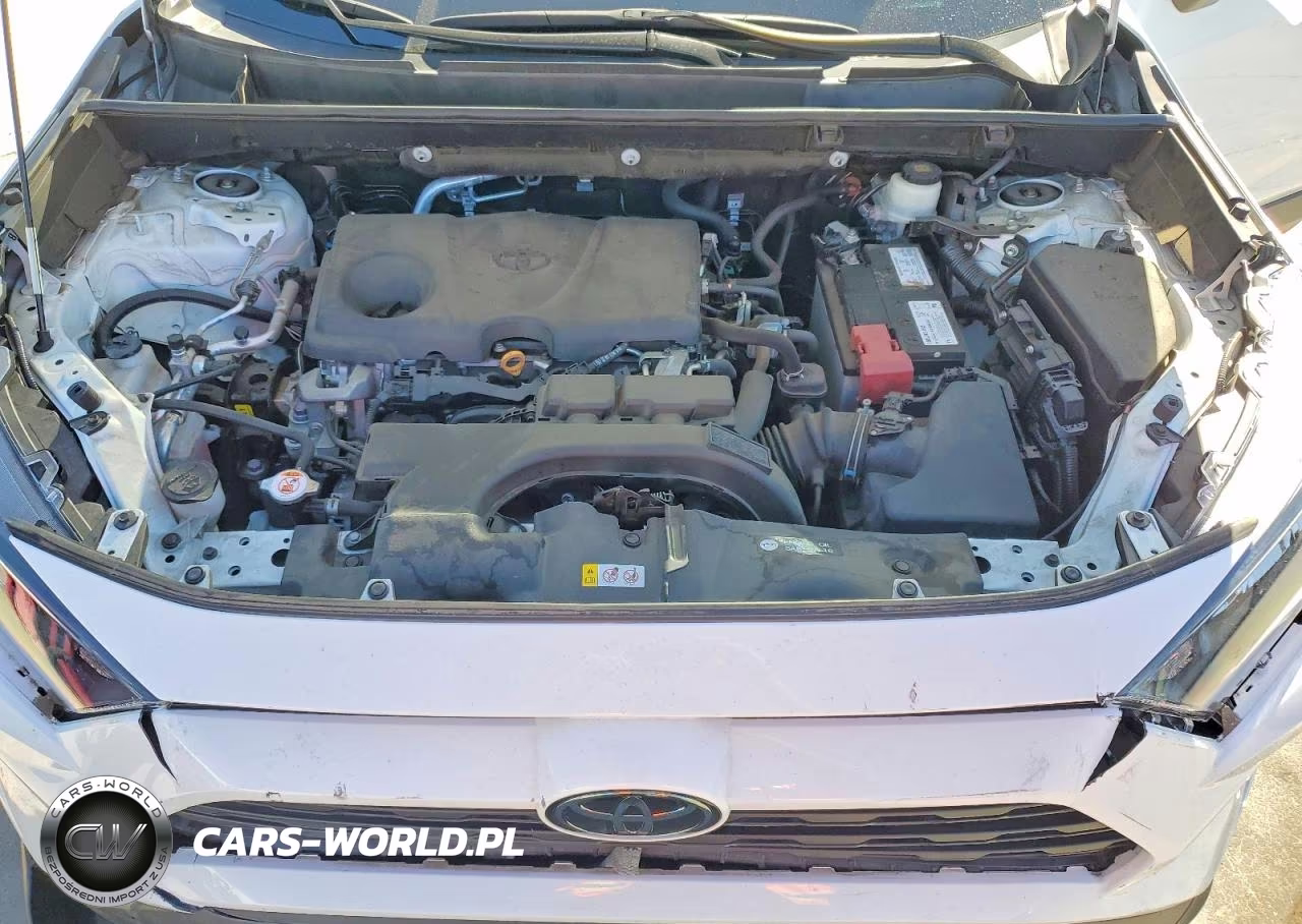 2019 Toyota Rav4 Le VIN:2T3F1RFVXKC013420 - 11