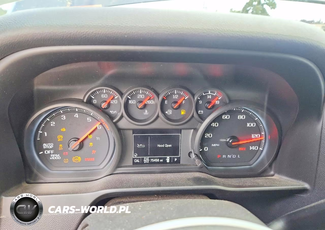 2021 Chevrolet Silverado K1500 Custom VIN:3GCPYBEK4MG136484 - 9