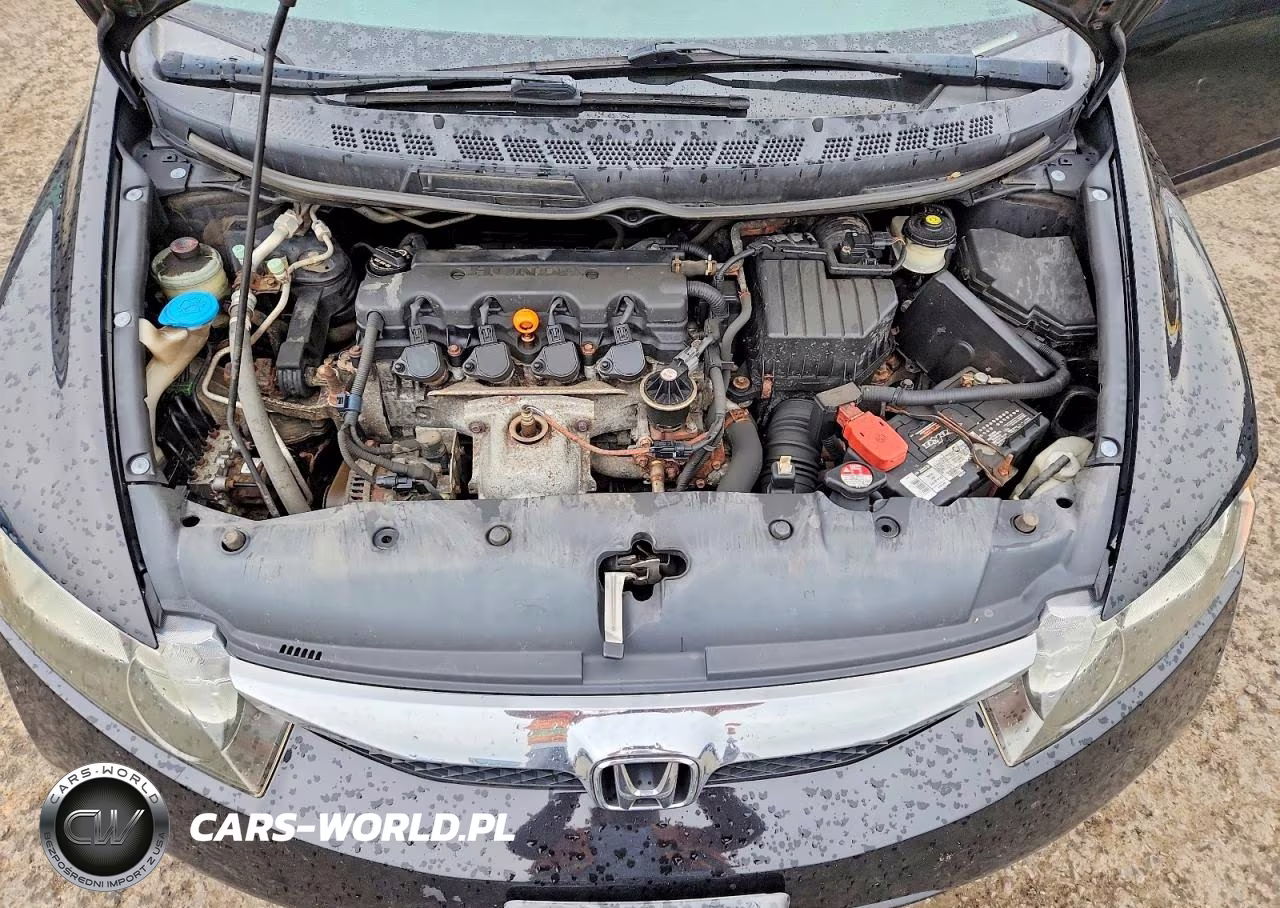 2011 Honda Civic Lx VIN:2HGFA1F55BH304196 - 11