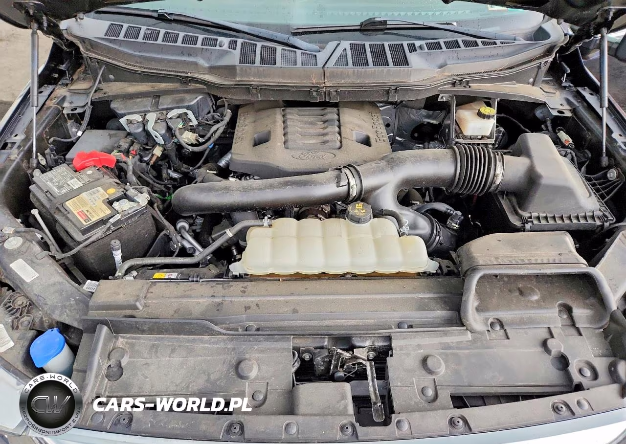 2021 Ford F150 Supercrew VIN:1FTFW1E84MFC97600 - 11