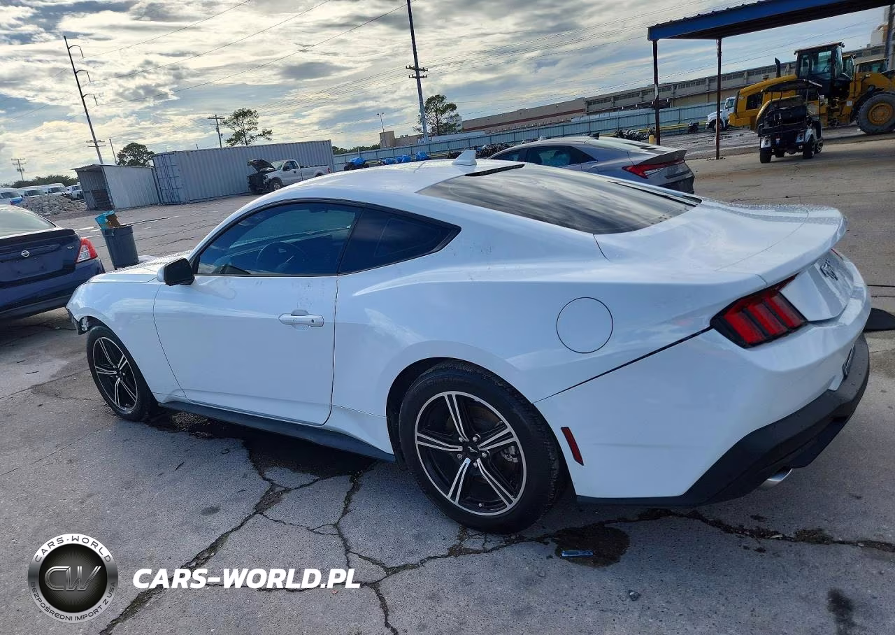 2024 Ford Mustang VIN:1FA6P8TH2R5143866 - 2