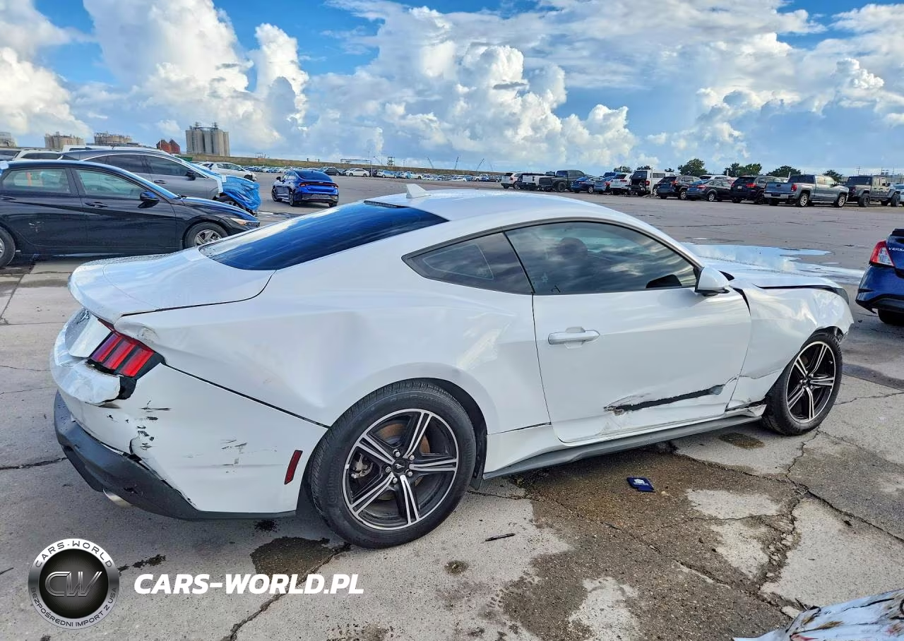 2024 Ford Mustang VIN:1FA6P8TH2R5143866 - 3