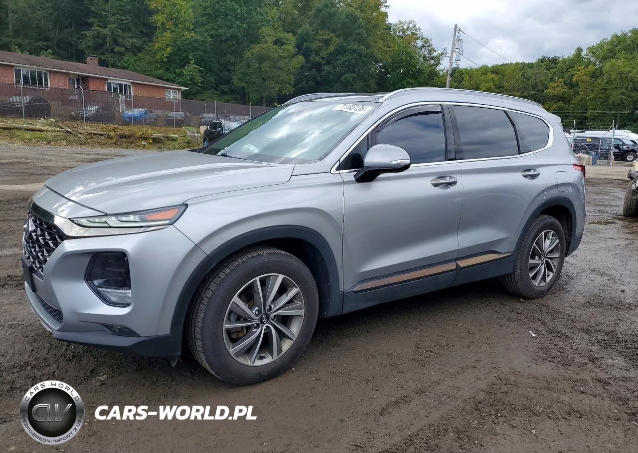 2020 Hyundai Santa Fe Limited VIN:5NMS53AD9LH300895 - 1