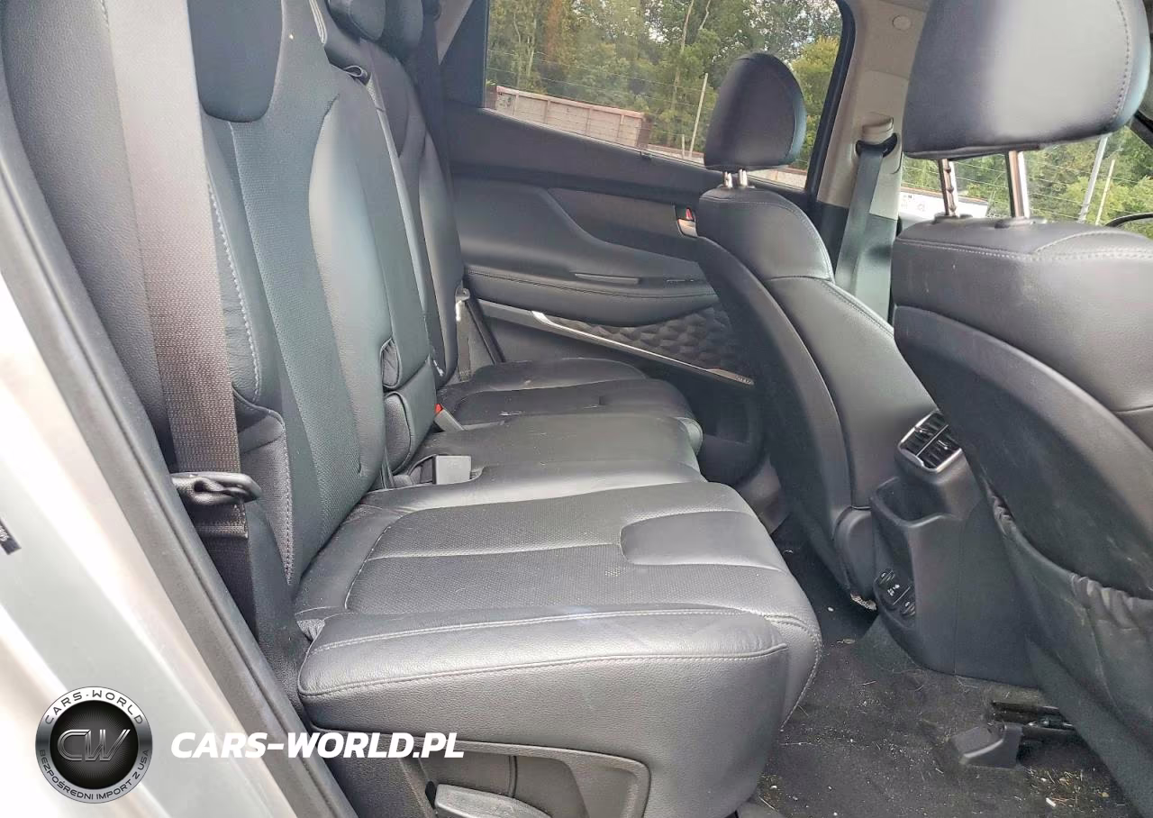 2020 Hyundai Santa Fe Limited VIN:5NMS53AD9LH300895 - 10