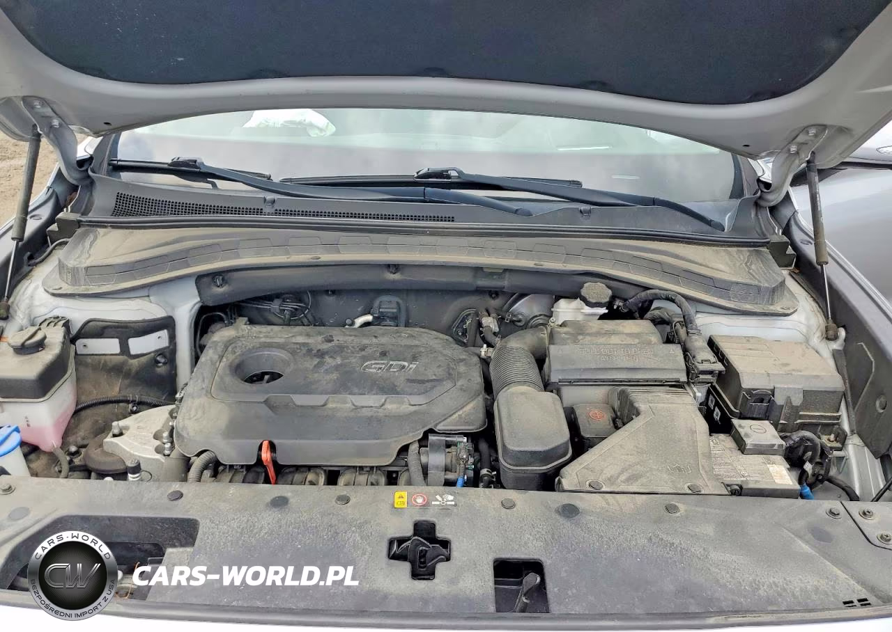 2020 Hyundai Santa Fe Limited VIN:5NMS53AD9LH300895 - 11