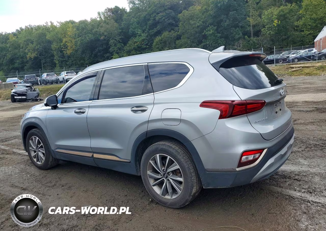 2020 Hyundai Santa Fe Limited VIN:5NMS53AD9LH300895 - 2