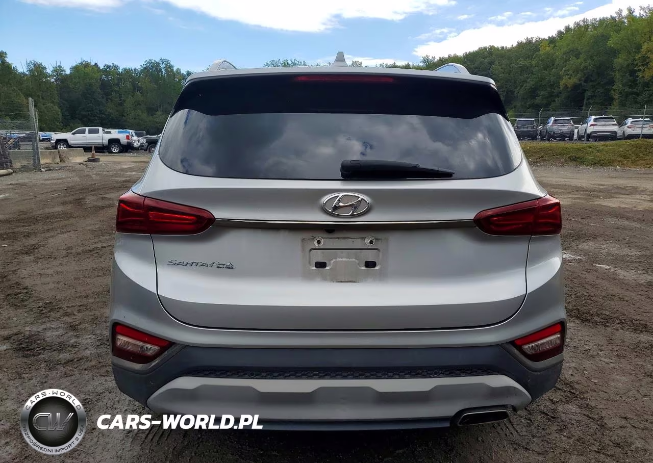 2020 Hyundai Santa Fe Limited VIN:5NMS53AD9LH300895 - 6