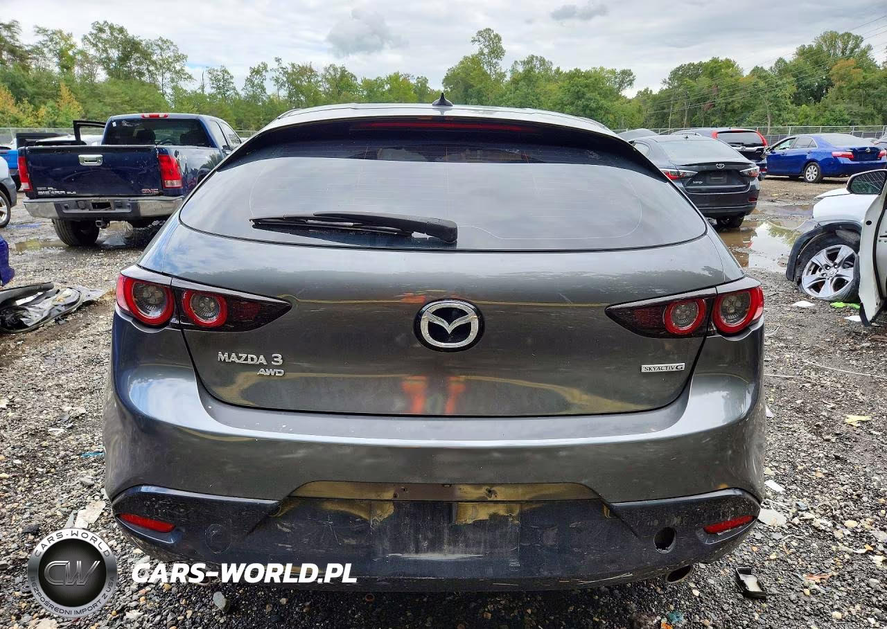 2019 Mazda 3 Premium VIN:JM1BPBNM5K1131689 - 6