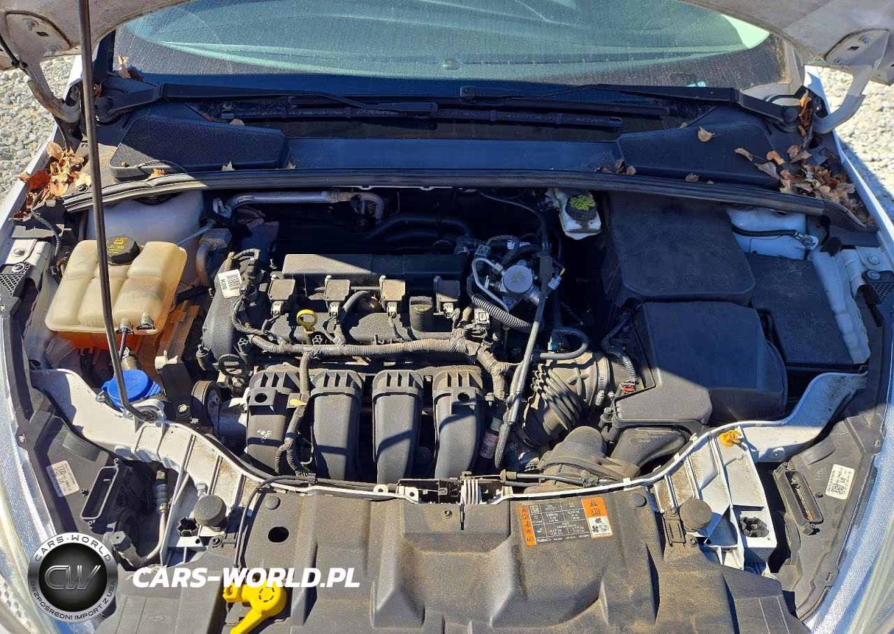 2018 Ford Focus Se VIN:1FADP3K2XJL220037 - 11