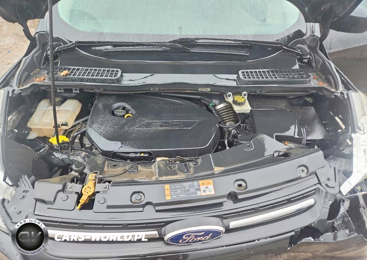 2014 Ford Escape Se VIN:1FMCU0GX8EUE48521 - 11