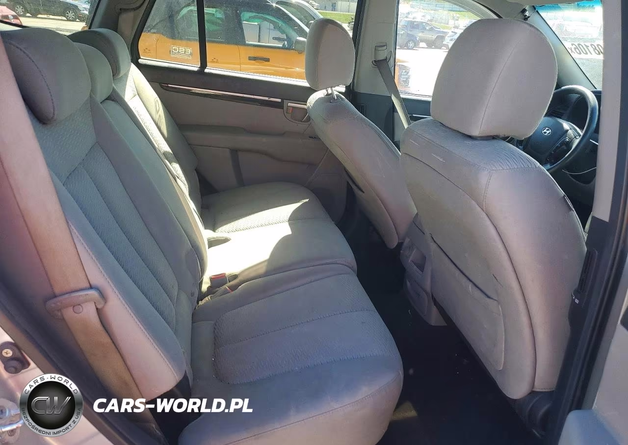 2009 Hyundai Santa Fe Gls VIN:5NMSG13D69H312930 - 11