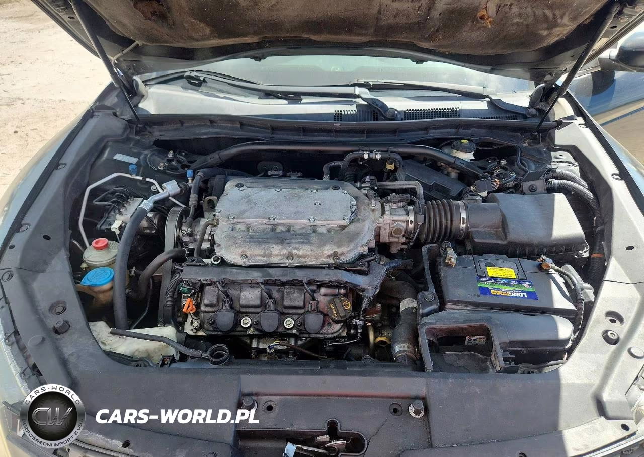 2010 Honda Accord Crosstour Exl VIN:5J6TF1H55AL008512 - 11