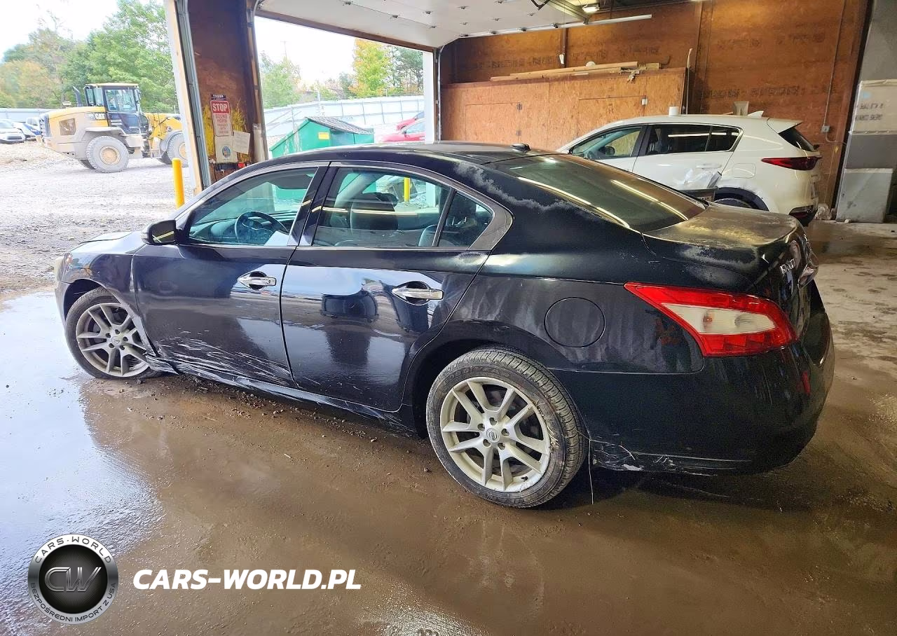 2010 Nissan Maxima 3.5 S VIN:1N4AA5AP5AC841859 - 2