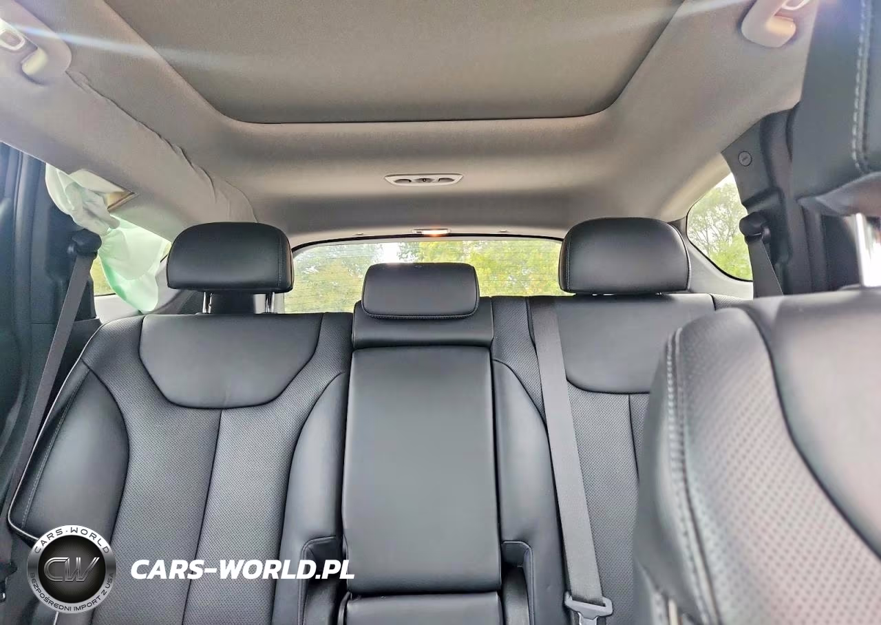 2023 Hyundai Santa Fe Limited VIN:5NMS4DAL1PH621190 - 10