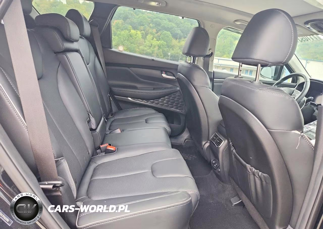 2023 Hyundai Santa Fe Limited VIN:5NMS4DAL1PH621190 - 11