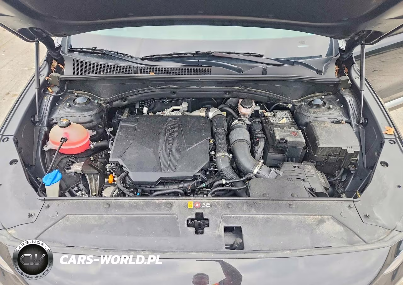 2023 Hyundai Santa Fe Limited VIN:5NMS4DAL1PH621190 - 12