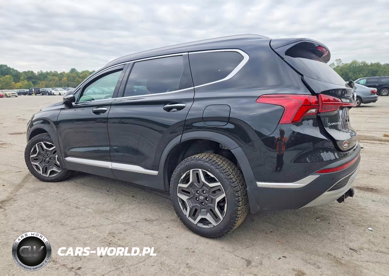 2023 Hyundai Santa Fe Limited VIN:5NMS4DAL1PH621190 - 2